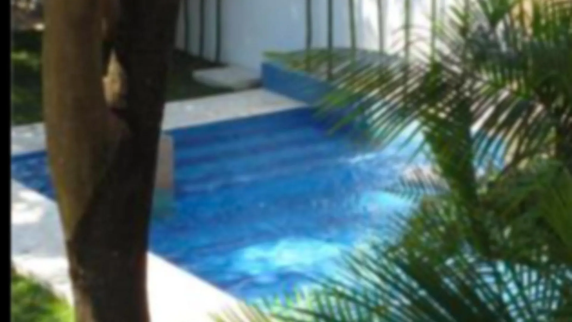 Bed & Breakfast Luna Bacalar - Gratis Renta Bicicletas